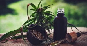 Canabidiol pode reverter efeitos do Alzheimer como a perda de memória, sugere estudo