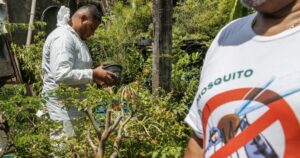 Casos de dengue, zika e chikungunya: Núcleo de Saúde alerta população do sudoeste da Bahia sobre prevenção