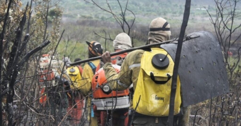 Deputado sugere reconhecimento, regulamentação e cadastro das Brigadas Voluntárias na Bahia