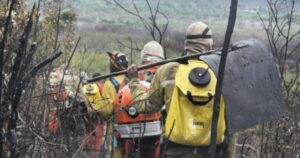 Deputado sugere reconhecimento, regulamentação e cadastro das Brigadas Voluntárias na Bahia
