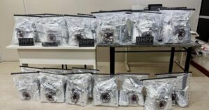 Polícia apreende 80 kg de cocaína na BR-116 e prende suspeito ligado ao CV