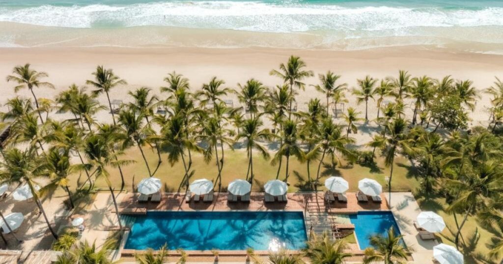 Inema autoriza que resort de luxo monitore praias no período reprodutivo de tartarugas marinhas em Itacaré