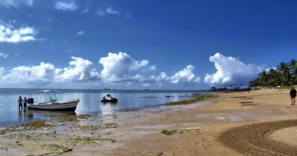 MP-BA notifica responsáveis por loteamento irregular e danos ambientais em Mar Grande, na Ilha de Itaparica