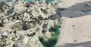Polícia Federal abre inquérito para investigar manchas na praia de São Tomé de Paripe
