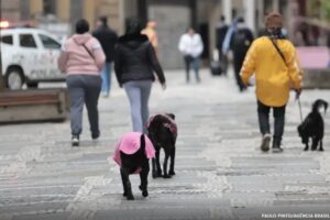 Frente fria avança nesta terça e traz mudança drástica no tempo; saiba se vai chover na sua cidade