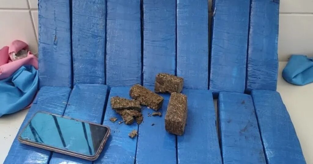 Polícia apreende 14kg de maconha em ônibus de viagem na BR-030