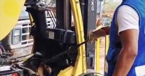 Tamanduá é resgatado de empilhadeira em zona rural na Bahia
