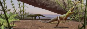 Fóssil achado no Brasil revela pistas sobre a origem dos dinossauros