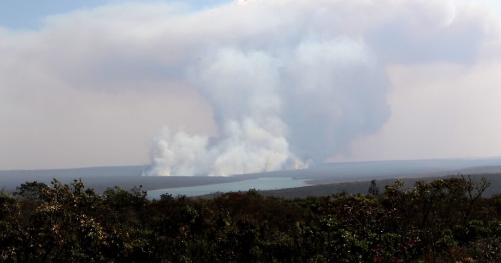 Copernicus: emissão global de gases por incêndios é a menor em 24 anos