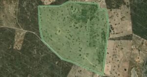 Governo Federal oficializa projeto de reforma agrária em Andorinha