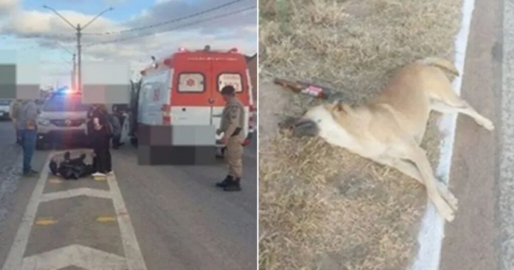 Motociclista fica ferido após atropelar cachorro na BR-030, no sudoeste baiano