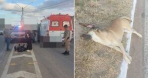 Motociclista fica ferido após atropelar cachorro na BR-030, no sudoeste baiano