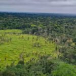 Amazônia tem menor...