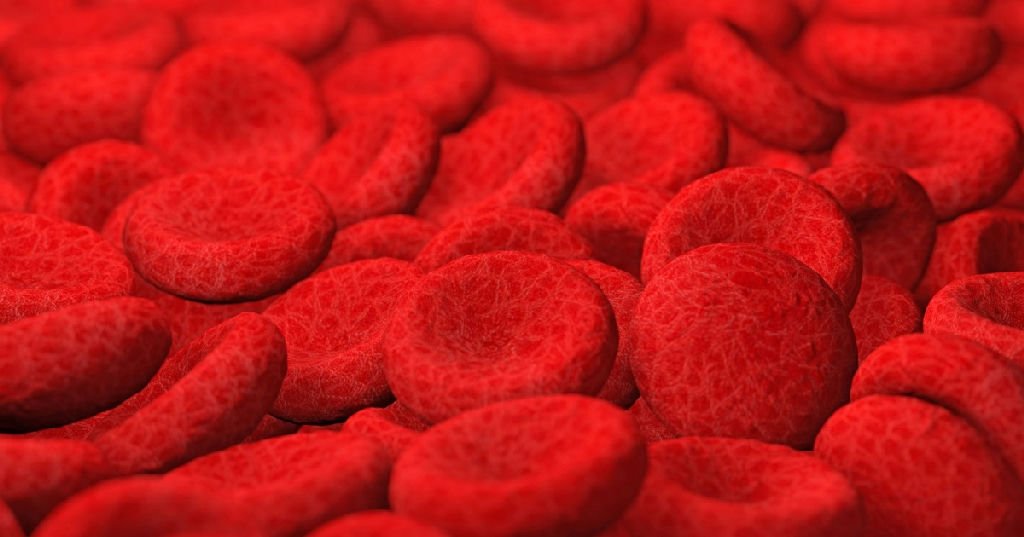 Anvisa aprova primeiro tratamento específico para anemia hemolítica autoimune no Brasil