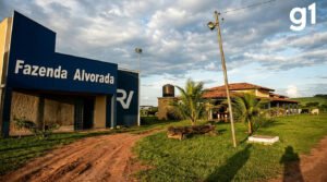 Briga em alojamento de fazenda termina com morte após agressão em Tapurah