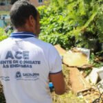 Dengue em Salvador:...