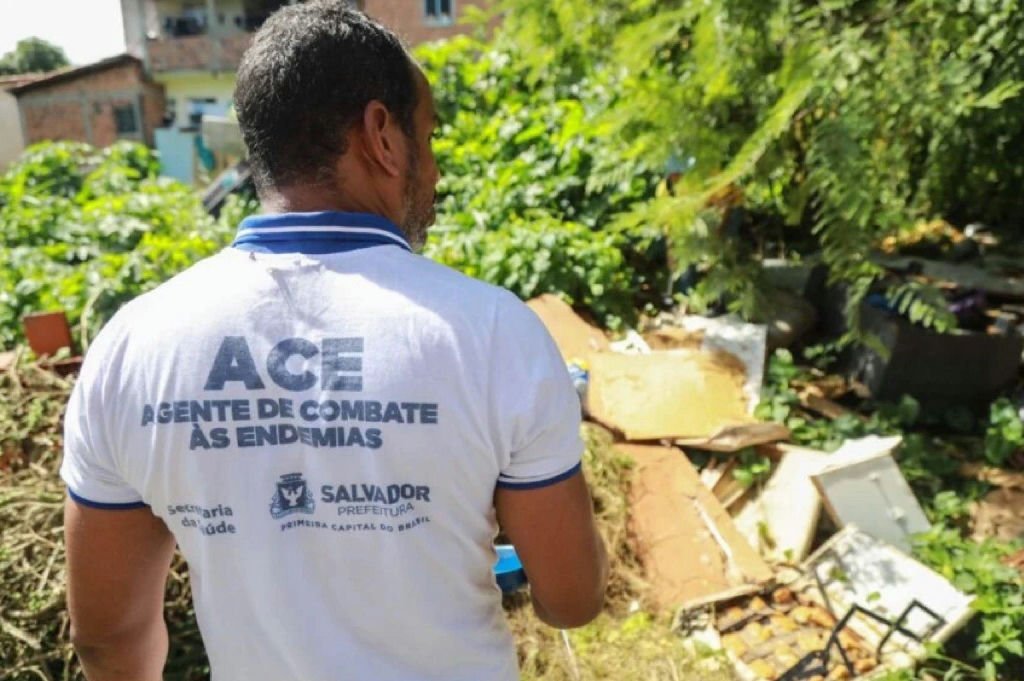 Dengue em Salvador: prefeitura intensifica ações em cinco distritos prioritários