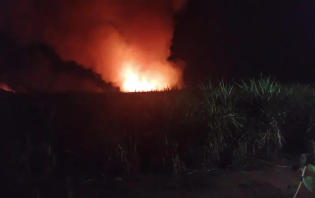 Incêndio em canavial mobiliza equipes e causa destruição em Cesário Lange