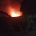Incêndio em canavial...