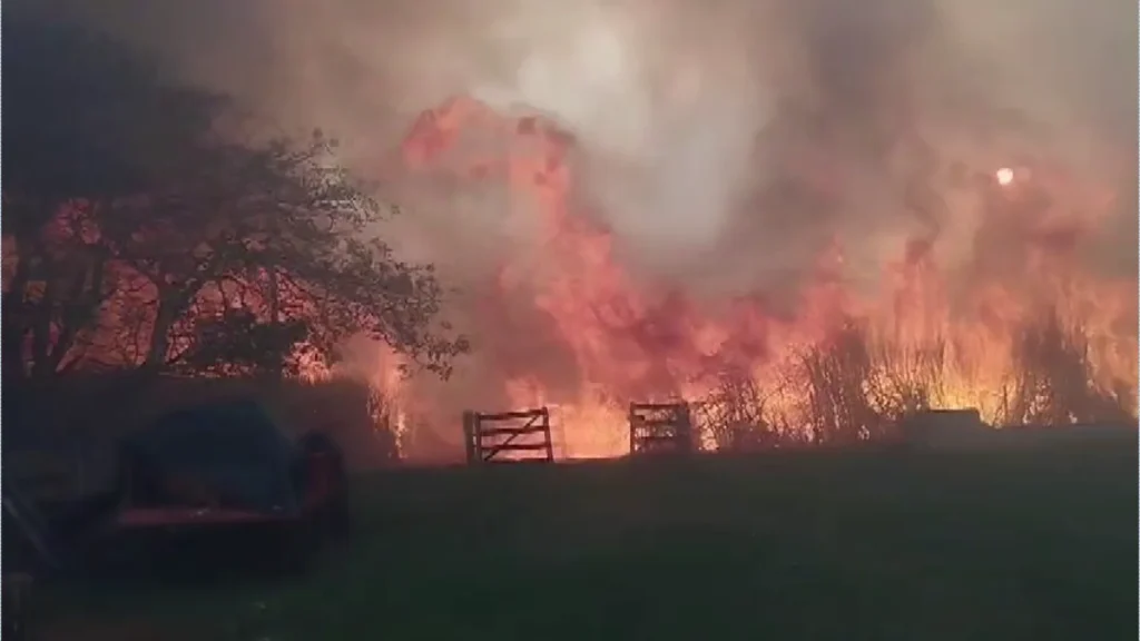 Incêndio em plantações ameaça residências e mobiliza equipes de socorro em Ipuã
