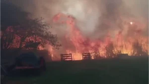 Incêndio em plantações ameaça residências e mobiliza equipes de socorro em Ipuã