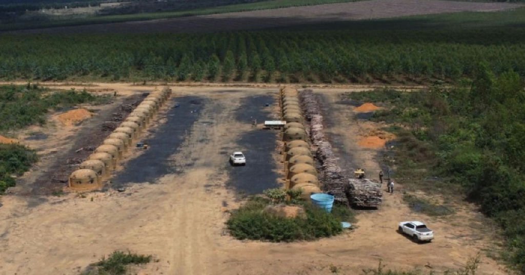 Operação contra desmatamento identifica 200 hectares de Mata Atlântica na Bahia