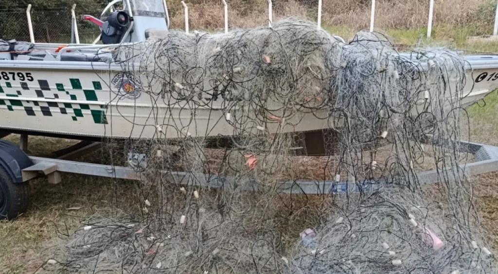 Polícia Ambiental retira 750 metros de redes de pesca irregulares em Presidente Epitácio