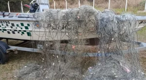 Polícia Ambiental retira 750 metros de redes de pesca irregulares em Presidente Epitácio