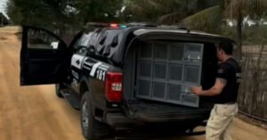 Polícia Civil cumpre mandado de prisão contra suspeito de estupro em Malhada
