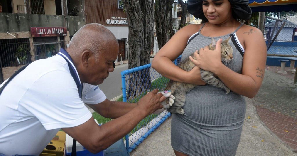 Salvador encerra campanha de vacinação antirrábica neste fim de semana com postos em Cajazeiras e Cabula