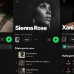 Spotify implementa selo...