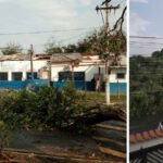 Temporal causa destruição...