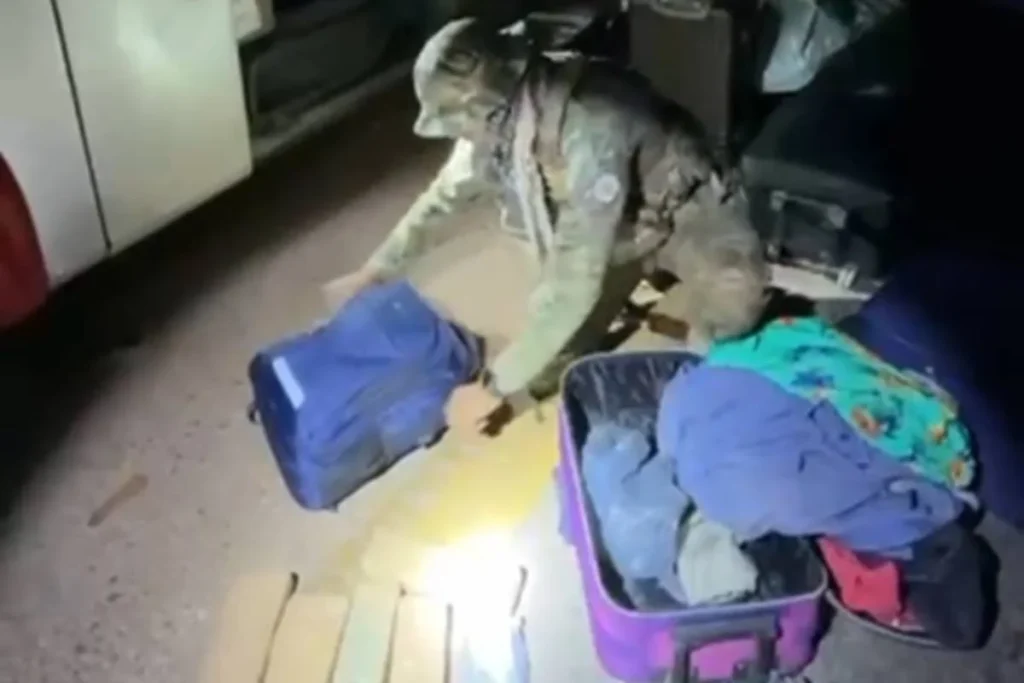 Tráfico de drogas é interceptado em ônibus interestadual no Distrito Federal