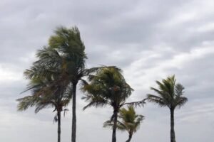 Ventos fortes atingem o sul da Bahia com alerta de perigo potencial do Inmet