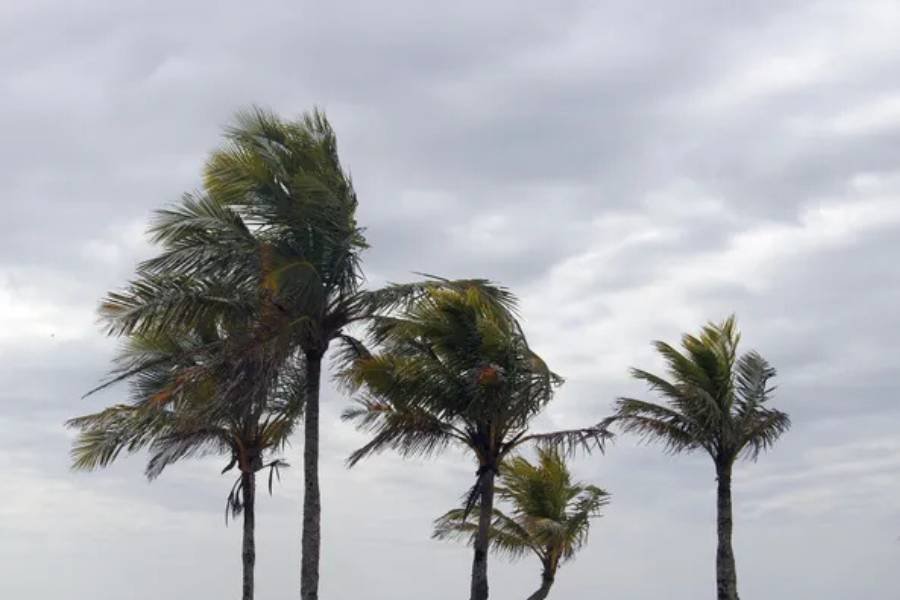 Ventos fortes atingem o sul da Bahia com alerta de perigo potencial do Inmet