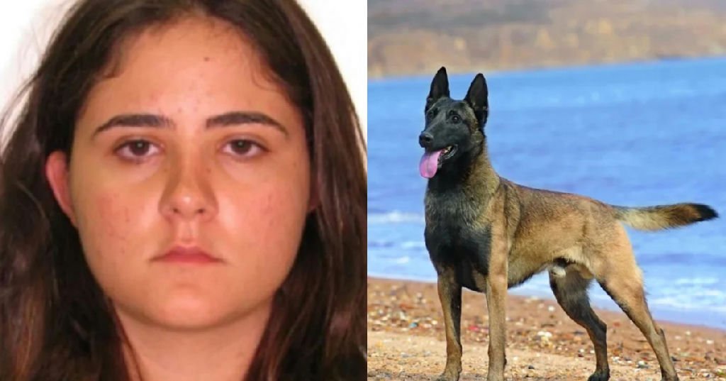 Veterinária atacada por cão no Senado Federal segue internada em estado grave