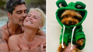 Xuxa e Junno Andrade prestam homenagem após morte de animal de estimação