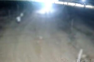 Adolescentes são apreendidos na Bahia por suspeita de estupro de vulnerável