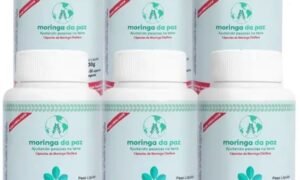 Anvisa ordena apreensão de produtos à base de moringa por riscos à saúde