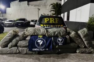 Apreensão de entorpecentes pela PRF em rodovia da Bahia após fiscalização