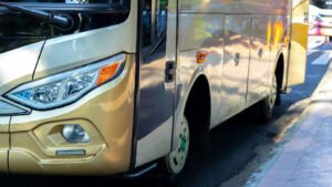 Bahia garante transporte intermunicipal gratuito para eleitores nas eleições de 2026