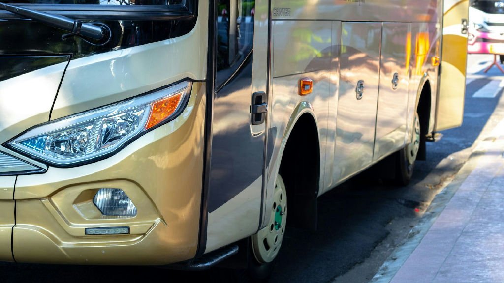 Bahia garante transporte intermunicipal gratuito para eleitores nas eleições de 2026