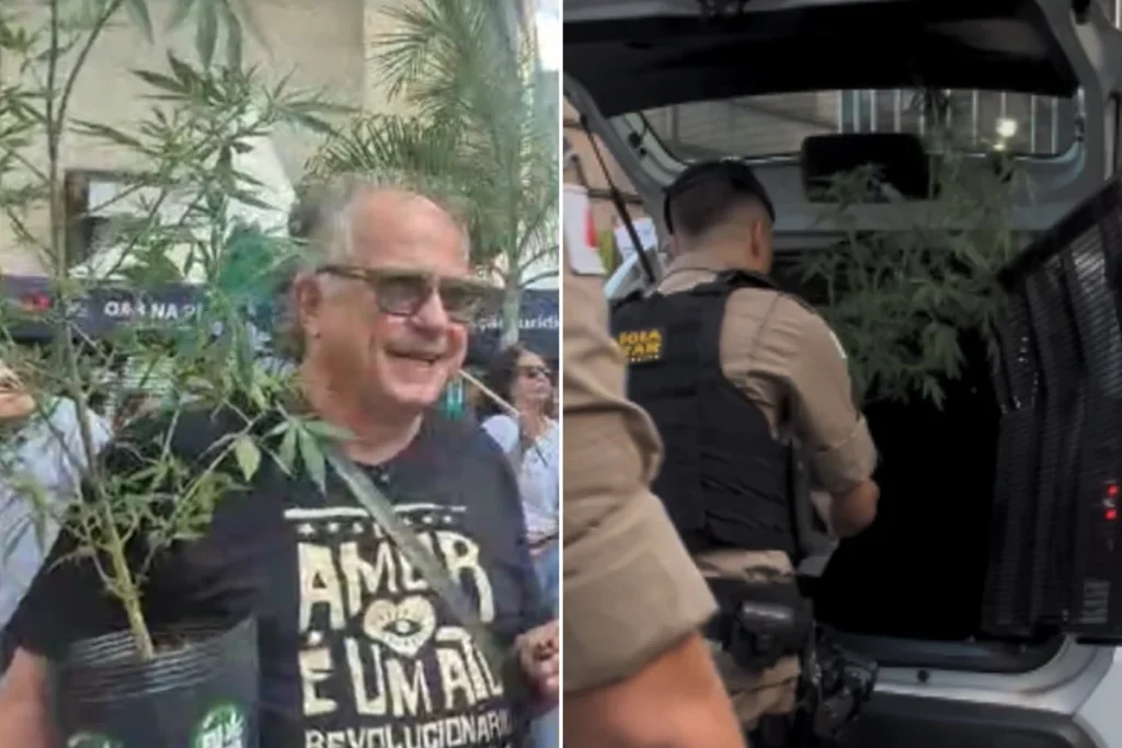 Candidato a deputado leva pé de maconha à Praça Sete e tem planta apreendida pela PM
