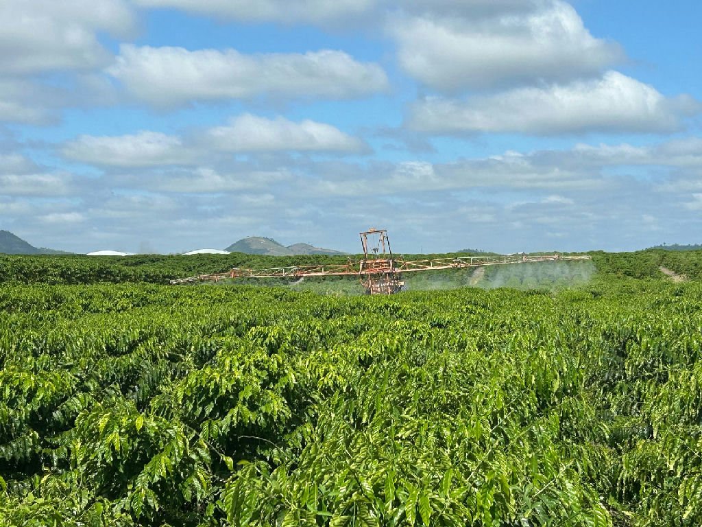 Embrapa apresenta plano nacional contra riscos do El Niño na safra 2026/2027