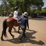 Equoterapia promove desenvolvimento...