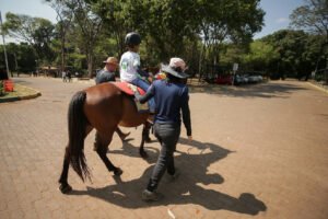 Equoterapia promove desenvolvimento e autonomia para jovens no Distrito Federal