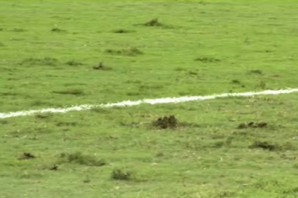 Estado precário do gramado na Austrália gera críticas durante amistoso da Seleção