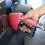 Governo federal renova...