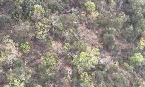 Helicóptero cai em área de mata no interior de São Paulo durante trajeto para o Paraná