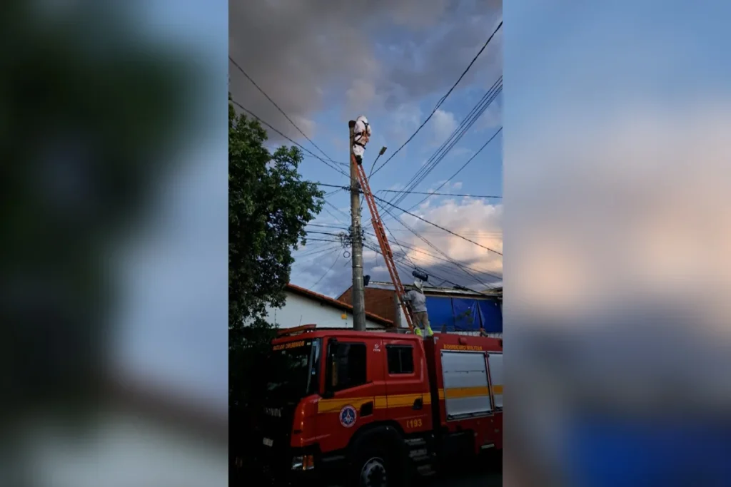 Homem sofre parada cardíaca após ataque de abelhas em Montes Claros